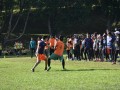 Tn dsc 0433